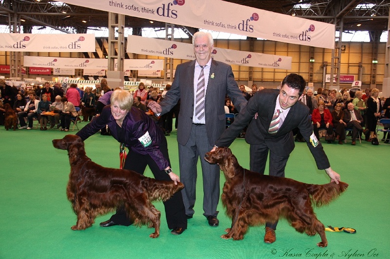 Crufts2011_2 187.jpg